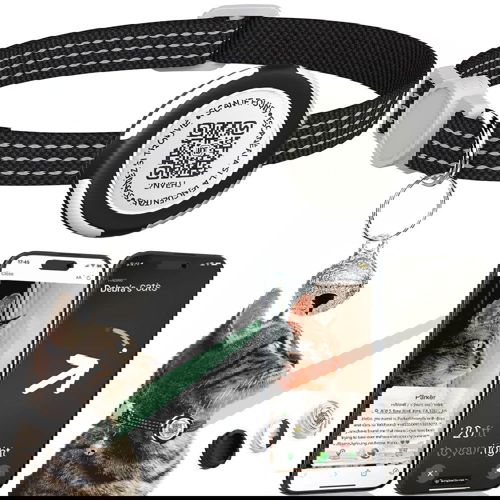 Dual Protection AirTag Cat Collar