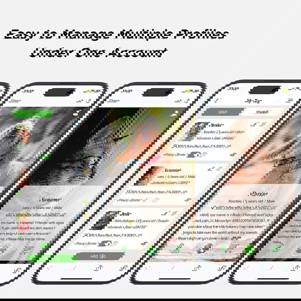 Dual Protection AirTag Cat Collar