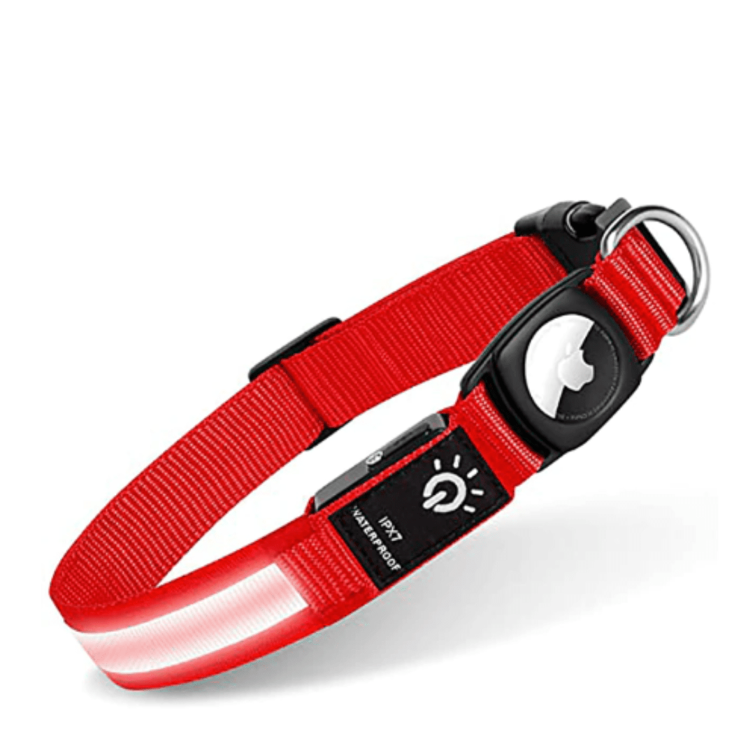 Illuminated AirTag Collar