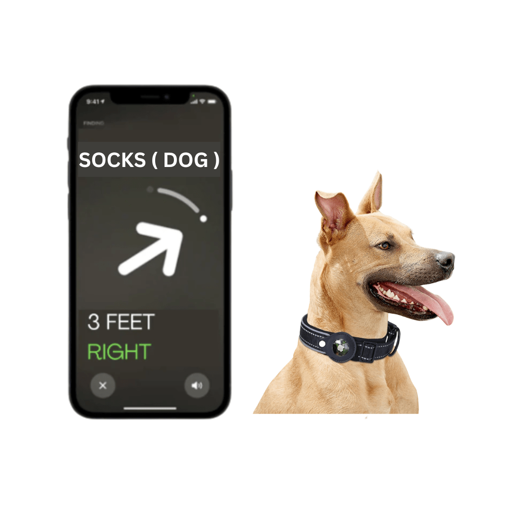 Illuminated AirTag Collar