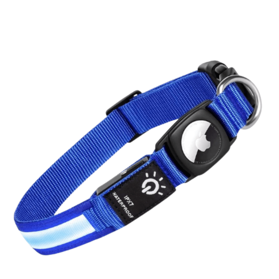 Illuminated AirTag Collar