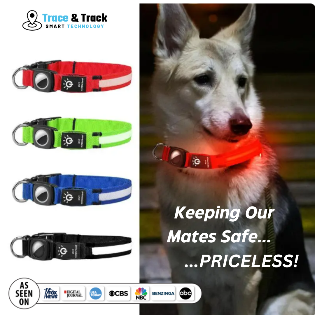Illuminated AirTag Collar