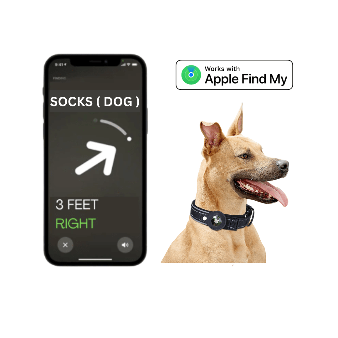 Leather AirTag Collar