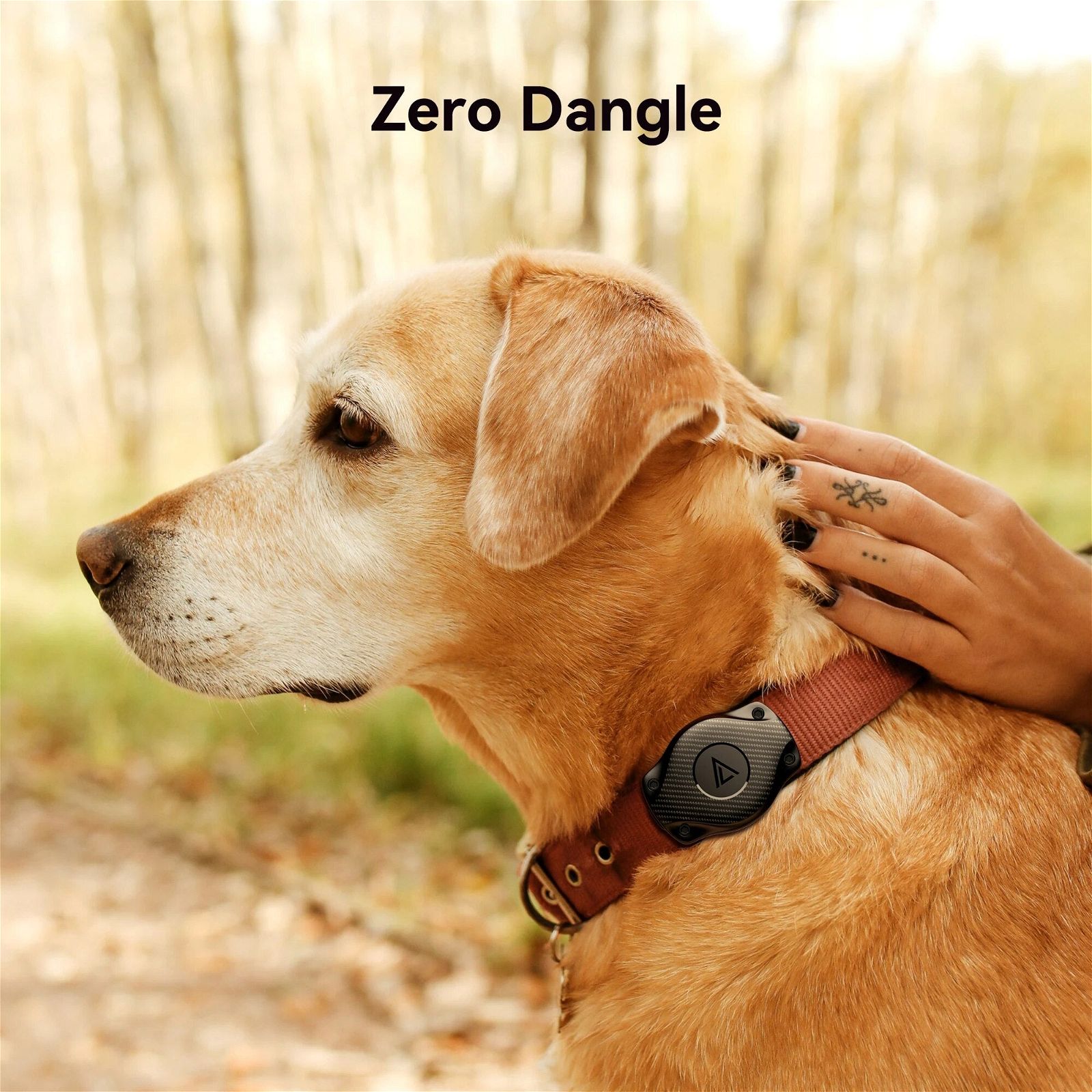 Multi-functional Airtag Attachment