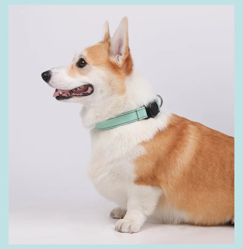 Dog Collar with Airtag Holder Ultra-Durable Comfortable Padded Heavy Duty Dog Collars for Small Medium Large Dogs Trax4u