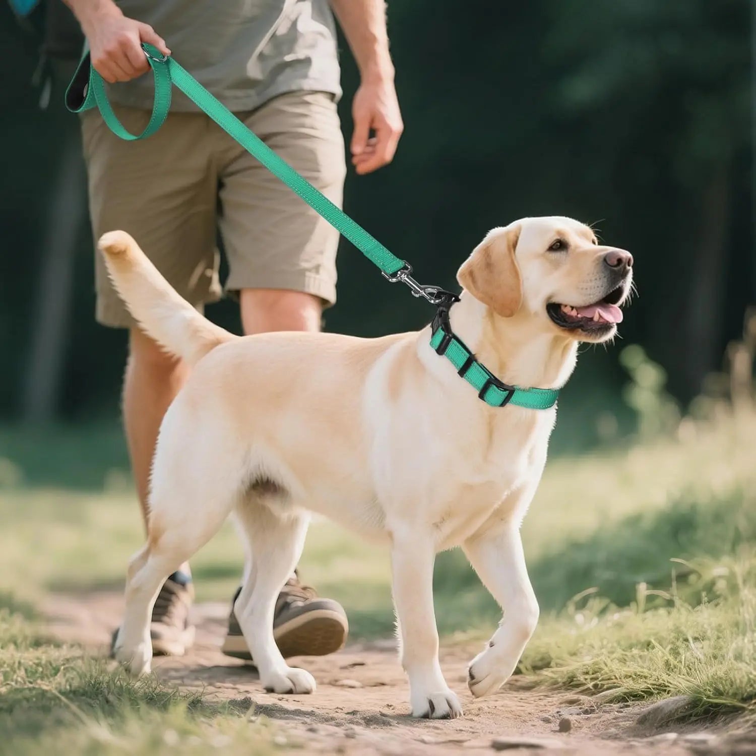 Dog Collar with Airtag Holder Ultra-Durable Comfortable Padded Heavy Duty Dog Collars for Small Medium Large Dogs Trax4u