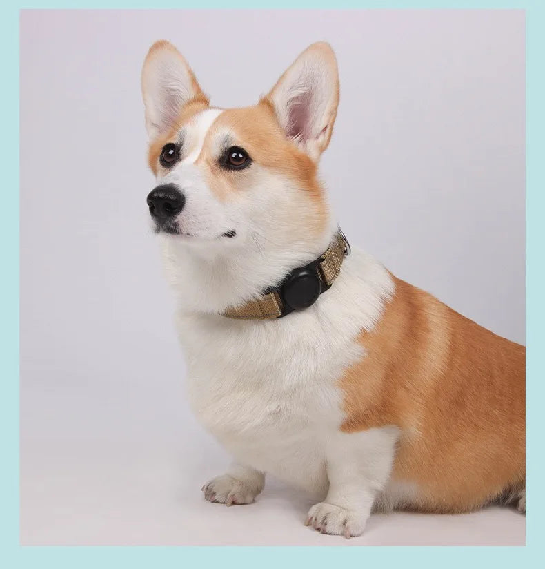 Dog Collar with Airtag Holder Ultra-Durable Comfortable Padded Heavy Duty Dog Collars for Small Medium Large Dogs Trax4u