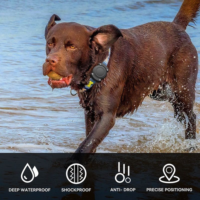 Waterproof Airtag Dog Collar Attachment