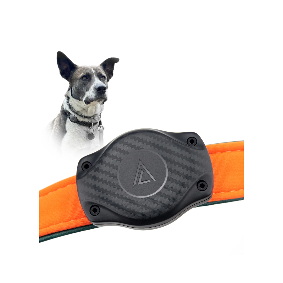 Waterproof AirTag holder attached to orange dog collar